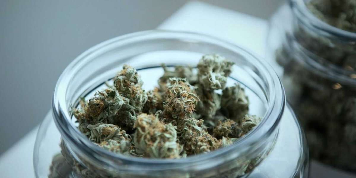 Discovering the Best Cannabis Dispensary in Washington DC