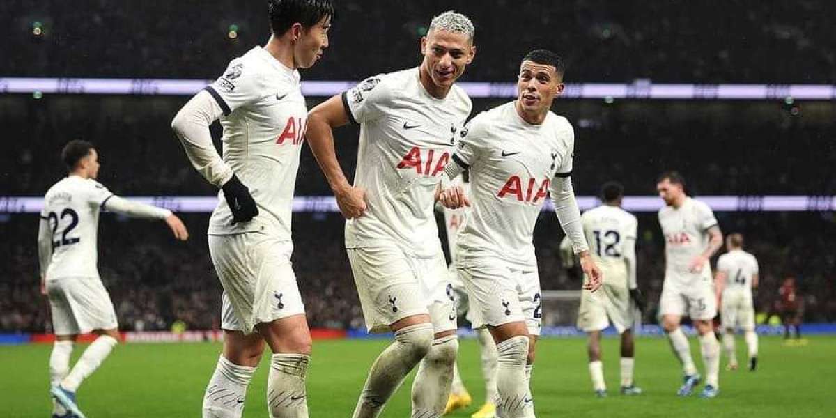 Betting Bliss: Dive Into the Electrifying World of Sports Wagering
