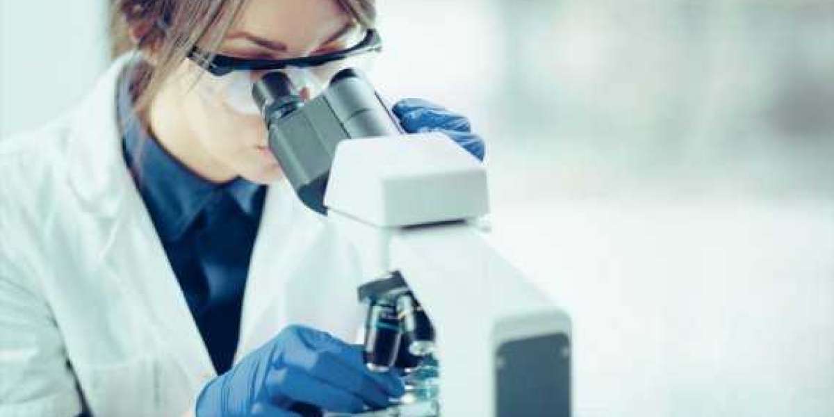 The Neurologic Examination In Companion Animals, Part 2: Interpreting Abnormal Findings