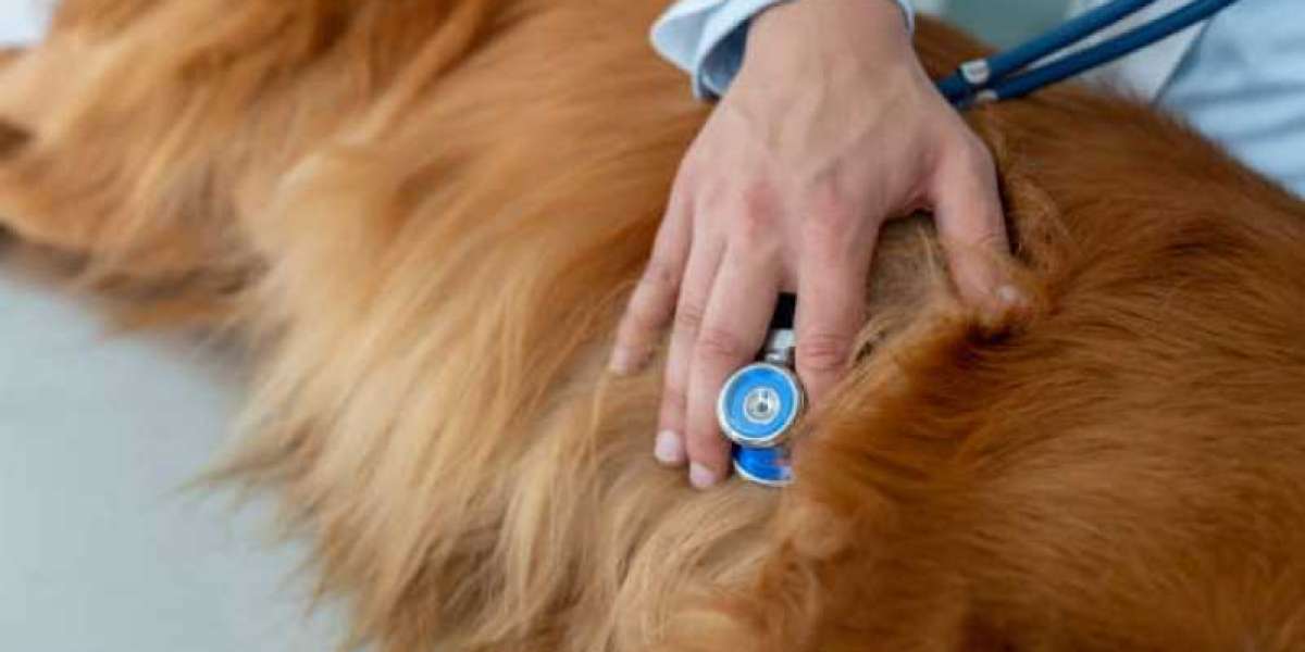 Kidney function tests: Types and normal ranges