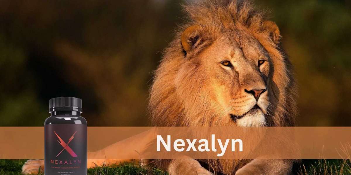 hoe Nexalyn Nederland prestaties transformeert