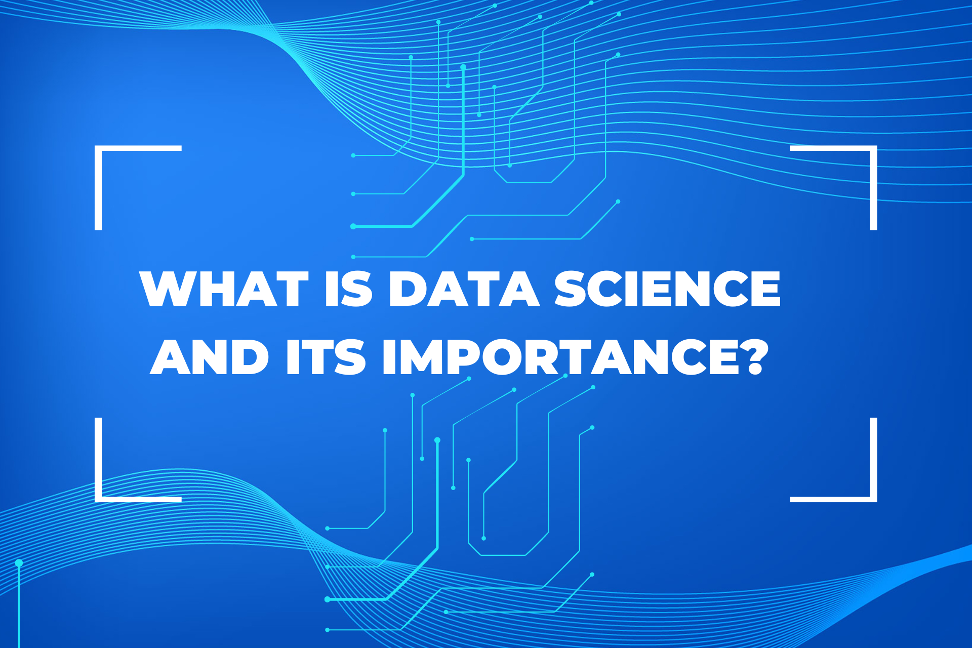 What is Data Science and Its Importance? - World News Fox
