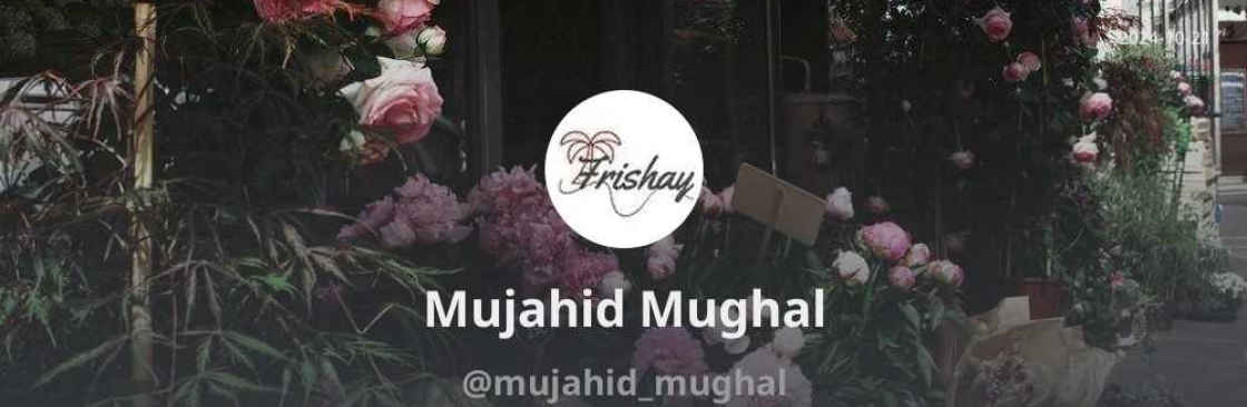 Mujahid Mughal Cover Image