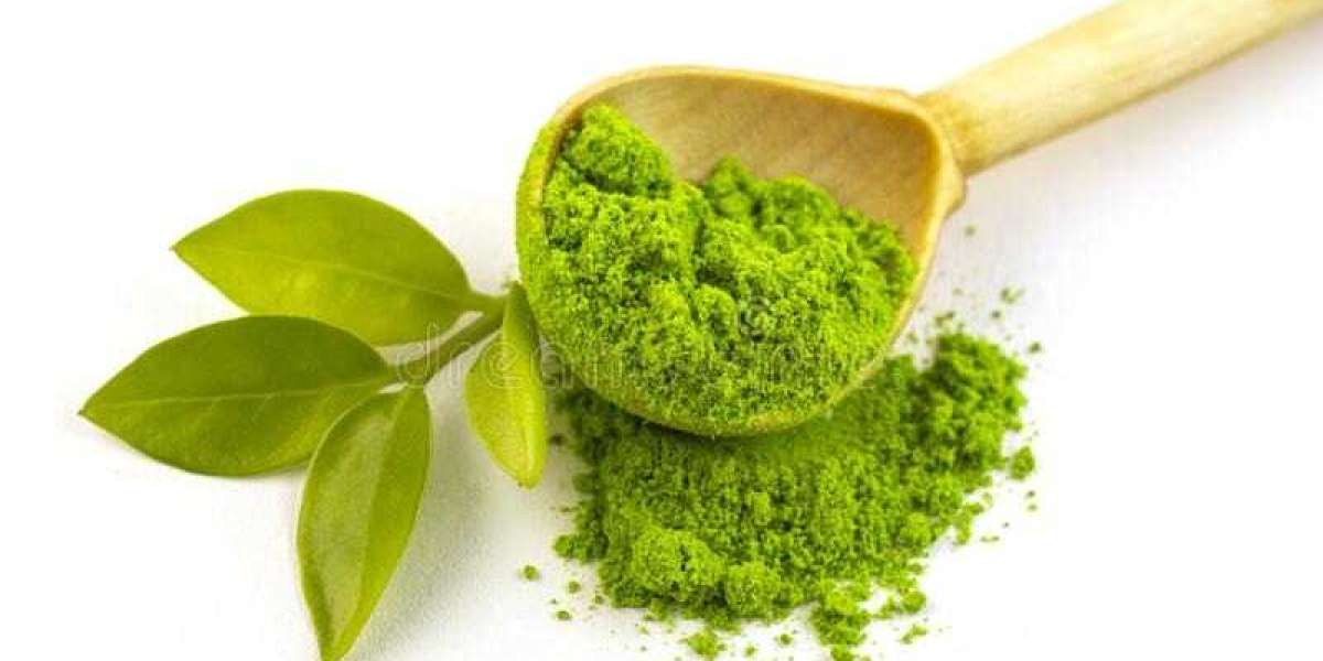 Establishing a Profitable Green Tea Powder Manufacturing Plant Report 2024: Setup and Cost Details