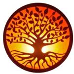 National Salt Lamps Traders Profile Picture