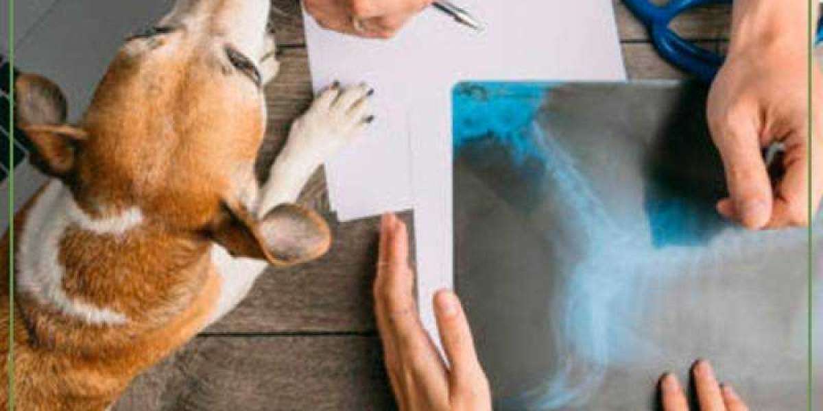 Reference Laboratories & Veterinary Diagnostics