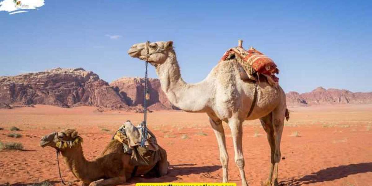 Explore the Dunes: A Guide to Desert Safari in Rajasthan