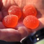 ramankoli1234 Profile Picture