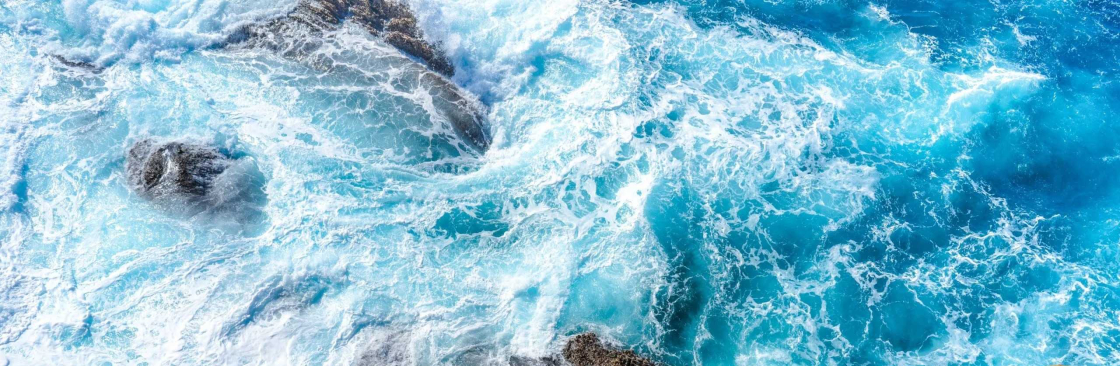 Roberts Hawaii Airport Shuttle Cover Image