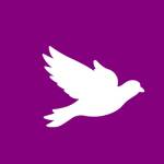 cityagenda Profile Picture