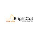 brightcatdata Profile Picture