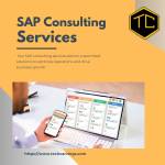 Techcarvings SAP Consulting service Profile Picture