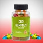 GiolaGrind Profile Picture