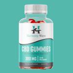 Garciahensle Profile Picture