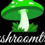 mushroom tropics Profile Picture