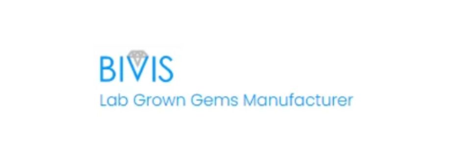 Bivis Cover Image