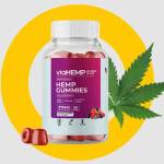 Normalakey Profile Picture