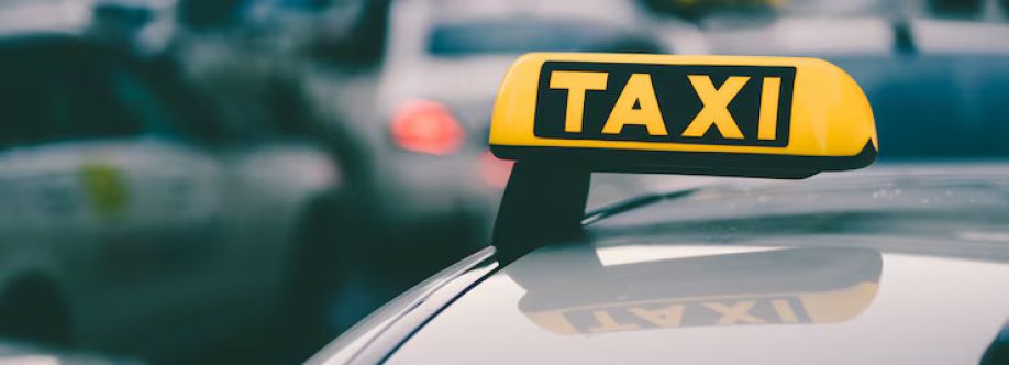 Airport Taxi Vienna Cover Image