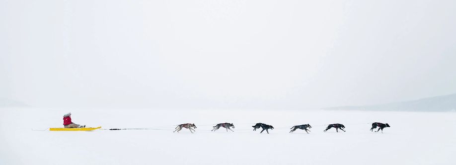 Nunatukavut Community Council Cover Image