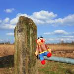 Ankit Sharma Profile Picture