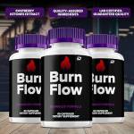 burn flow Profile Picture