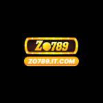 ZO789 ITCOM Profile Picture
