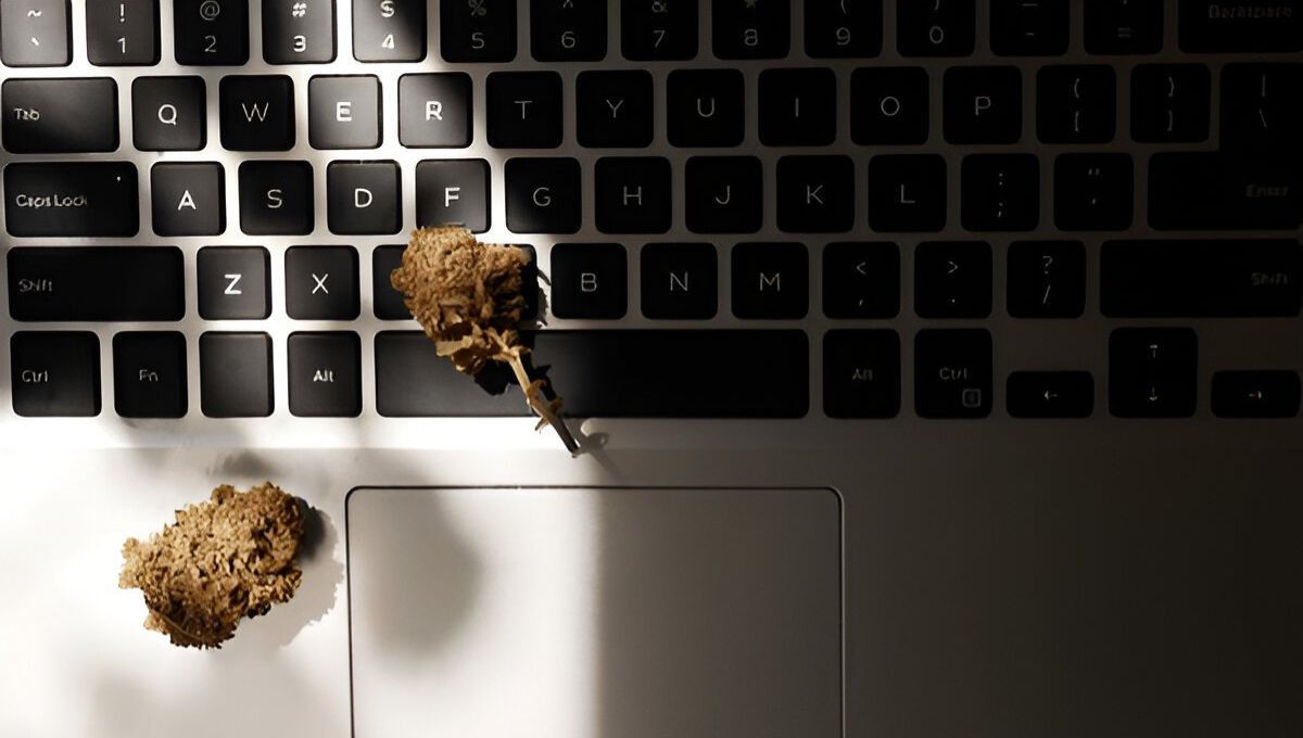 Ordering Cannabis Online: Safe & Packed With Better Deals