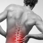 Backbiomebuyau Profile Picture