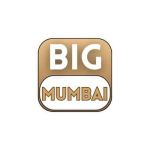 Big Mumbai Games Profile Picture